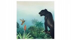 Кружка Meissen Амазония Пантера 250 мл, фарфор