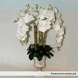 Цветочная композиция из белых орхидей в кубке